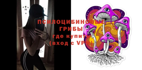хмурый Медногорск