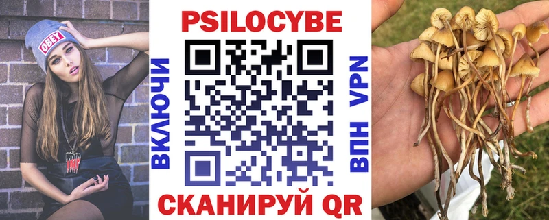 где найти   ссылка на мегу ссылки  Псилоцибиновые грибы GOLDEN TEACHER  Петров Вал 
